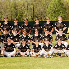 Ripley_baseball